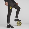 Bộ Thể Thao Puma Màu Vàng - Borussia Dortmund Men's Prematch -771799-02/771834-02