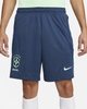 Bộ Thể Thao Nike Màu Xanh -Brazil Men's Nike Dri-FIT - DH6466-490/DM9544-490