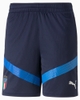 Bộ Thể Thao Puma Màu Xanh -Training Man PUMA Italy Figc Player -767080 03/767097 04