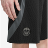 Bộ Thể Thao Màu Chính Hãng Màu Be Xám - Nike Paris Saint Germain Training Jersey - DZ0786-231/DZ0863-010
