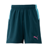 Bộ Thể Thao Puma Chính Hãng Màu Xanh - INDIVIDUAL PUMAFTBL PRO SS AOP TEE - 659129 68/659131 56
