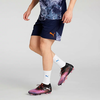 Bộ Quần Áo Puma Chính Hãng Màu Xanh Dương - ultimate Puma clothing - 660124-06/660125-06