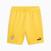 Bộ Thể Thao Puma Màu Vàng - Playera Puma Ghana - 772464 08/772468 08