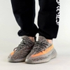 GW1229 -  Beluga 2.0 phản quang