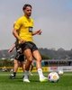 Bộ Thể Thao Puma Màu Vàng - Borussia Dortmund Football Training - 771826 01/771836 02