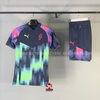 Bộ Thể Thao Chính Hãng Màu Tím - Jual Puma Neymar Jr Jersey Parisian Night - 60577009/60577209