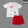 Bộ Quần Áo Thể Thao Nam Nike Chính Hãng Màu Vàng - Nike PSG Max90 Earth - FV8501-113