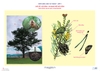 Đa dạng thế giới sống