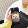 Ốp Cat Cat cam lồi trong