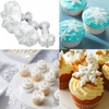 Khuôn fondant nhấn hình bông tuyết 3c