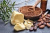 Bơ cacao Puratos