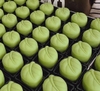 Khuôn trung thu lò xo 2 mặt chanh-lá  50g