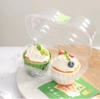 50c cốc giấy lót cupcake màu trơn 6.5cm