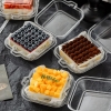 Hộp bento nhựa trong