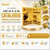 In catalogue giá rẻ, chất lượng cao tại Bến Tre
