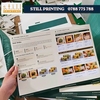 In Catalogue A4 dạng gấp – Gọn đẹp, chuyên nghiệp cho doanh nghiệp