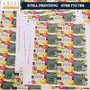 In Decal Nhựa Cán Màng Mờ Cho Mỹ Phẩm Tại Bến Tre