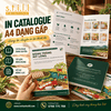 In Catalogue A4 dạng gấp – Gọn đẹp, chuyên nghiệp cho doanh nghiệp