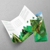 to-roi-brochure-gap-3-du-lich-travel-still-printing-ben-tre