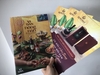 In Brochure A4 Giới Thiệu 