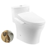 ban-cau-dien-tu-toto-ms885dw24-xw
