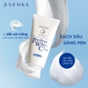 Sữa Rửa Mặt Đất Sét Trắng Senka Perfect White Clay (120g) (Trắng)