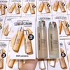 Nước Thần Keo Ong Cấp Ẩm, Phục Hồi Da CNP Laboratory Propolis Treatment Ampule Essence Hàn Quốc 150ml & 100ml