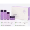 Bộ Dưỡng Trẻ Hóa Da Hoa Lan Tím Innisfree Jeju Orchid Special Kit Mini 4 Sản Phẩm