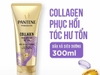 F465 - PANTENE - Dầu Gội, Dầu Xả Pantene