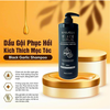 Dầu Gội Tỏi Đen Black Garlic Shampoo - Sức Sống Mới Cho Tóc Của Bạn (1000ml)