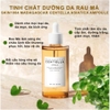 Tinh Chất Rau Má Skin1004 Madagascar Centella Ampoule 30ml 55ml 100ml