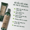 c338 - Weilaiya - Combo Gội 400ml + Xả 250ml (GINGER - Da dầu, màu xanh trắng) (18 Cặp/ T)