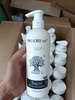 c521 - Dầu Gội Xả Biotin Giúp Phục Hồi Chống Rụng tóc 1000ml