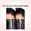 Bộ Đôi Dầu Gội - Xả Giảm Gãy Rụng Tóc, Giúp Tóc Chắc Khoẻ L'Oréal Paris Full Resist Pháp 440ml