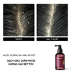 Nước Dưỡng Tóc Bồ Kết Thuần Chay Cocoon Giảm Gàu Cho Da Đầu Nhạy Cảm Gleditsia Scalp Tonic 140ml