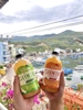 Giấm Táo giảm cân Nguyên chất - Nghệ Mật Ong, Lên Men Tự Nhiên Rangfarm 500ml