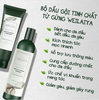 c338 - Weilaiya - Combo Gội 400ml + Xả 250ml (GINGER - Da dầu, màu xanh trắng) (18 Cặp/ T)