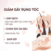 Bộ Đôi Dầu Gội - Xả Giảm Gãy Rụng Tóc, Giúp Tóc Chắc Khoẻ L'Oréal Paris Full Resist Pháp 440ml