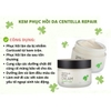 Kem Dưỡng Rau Má GOODNDOC Centella Repair Cream 50ml