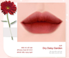 Son Kem lì Black Rouge Air Fit Velvet Lip Tint Ver 1 - Ver 9 ( A01 - A52 )