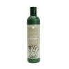 Bộ Dầu Gội Xã Tinh Chất Gừng Weilaiya 250 - 400ml