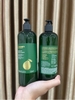 Combo Gội Xả Bưởi Không Sulfate Cocoon Pomelo Shampoo / Hair Conditioner Giúp Phục Hồi, Giảm Gãy Rụng Tóc 310ml-500ml