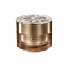 Kem dưỡng da chiết xuất ốc sên vàng Goodal Premium mela Care ampoule Cream 50ml