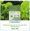 Mặt nạ rau má PrettySkin The Pure Jeju Cica Mask Sheet 25ml x 10