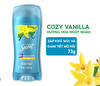 e637 - Secret - Gel giảm mồ hôi và khử mùi Secret Mỹ 73g