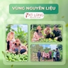 Nước Thơm Mùi Già Pơ Lang Giúp Giảm Khuẩn, Làm Thơm, Mang Lại Hương Thơm Thanh Sạch, Thư Thái 160ml