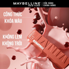 e311 - Son Bóng Lâu Trôi Maybelline Superstay Vinyl Ink