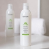 Toner Nước Hoa Hồng Cân Bằng Dầu Nhờn, Giảm Mụn BABE Laboratorios Babé Stop AKN Astringent Tonic Lotion 250ml