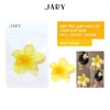 b61 - Kẹp Tóc Hoa Sứ Nhựa Jary Hair Clip hot trend, duyên dáng nhẹ nhàng cực xinh
