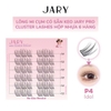 Lông Mi Cụm Cao Cấp Có Sẵn Keo Jary Pro Cluster Lashes Full Box Hộp Nhựa 6 Hàng